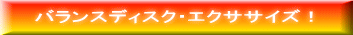バランスディスク・エクササイズ!