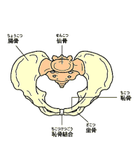 ՁE咰֐߁@S