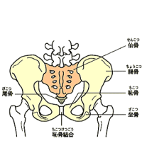 ՁE咰֐߁@