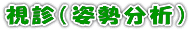 視診(姿勢分析)