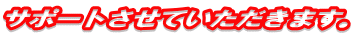 サポートさせていただきます。